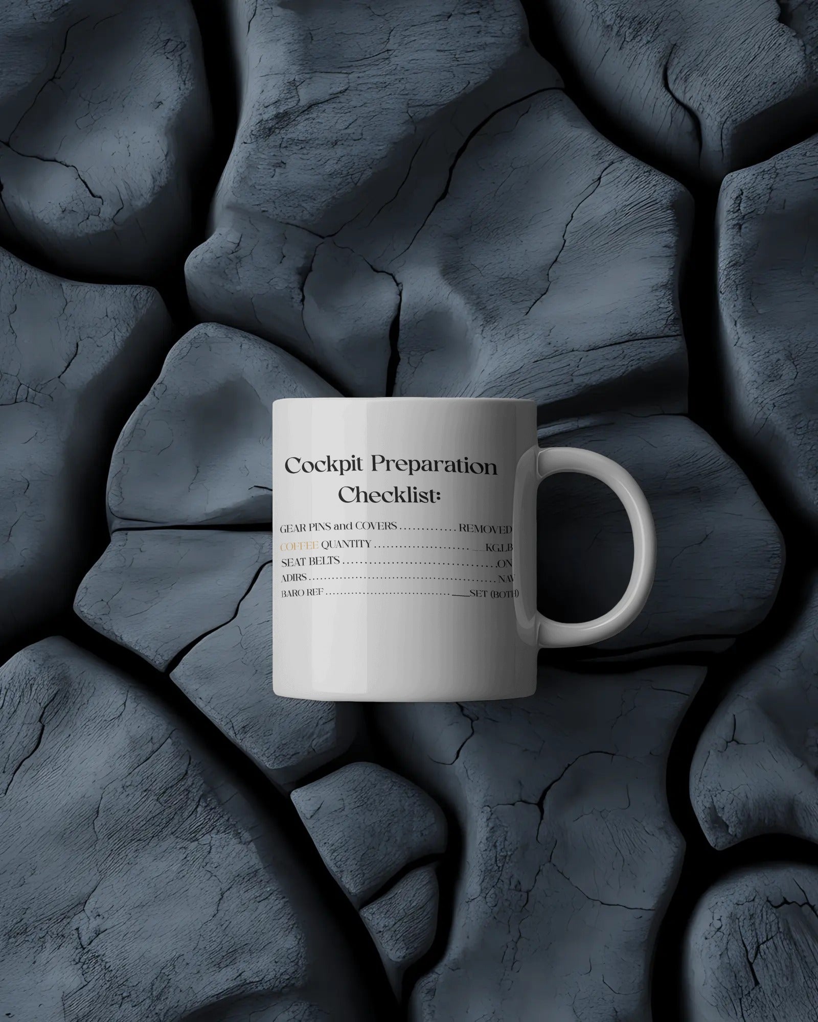 Cockpit Preparation Checklist Mug