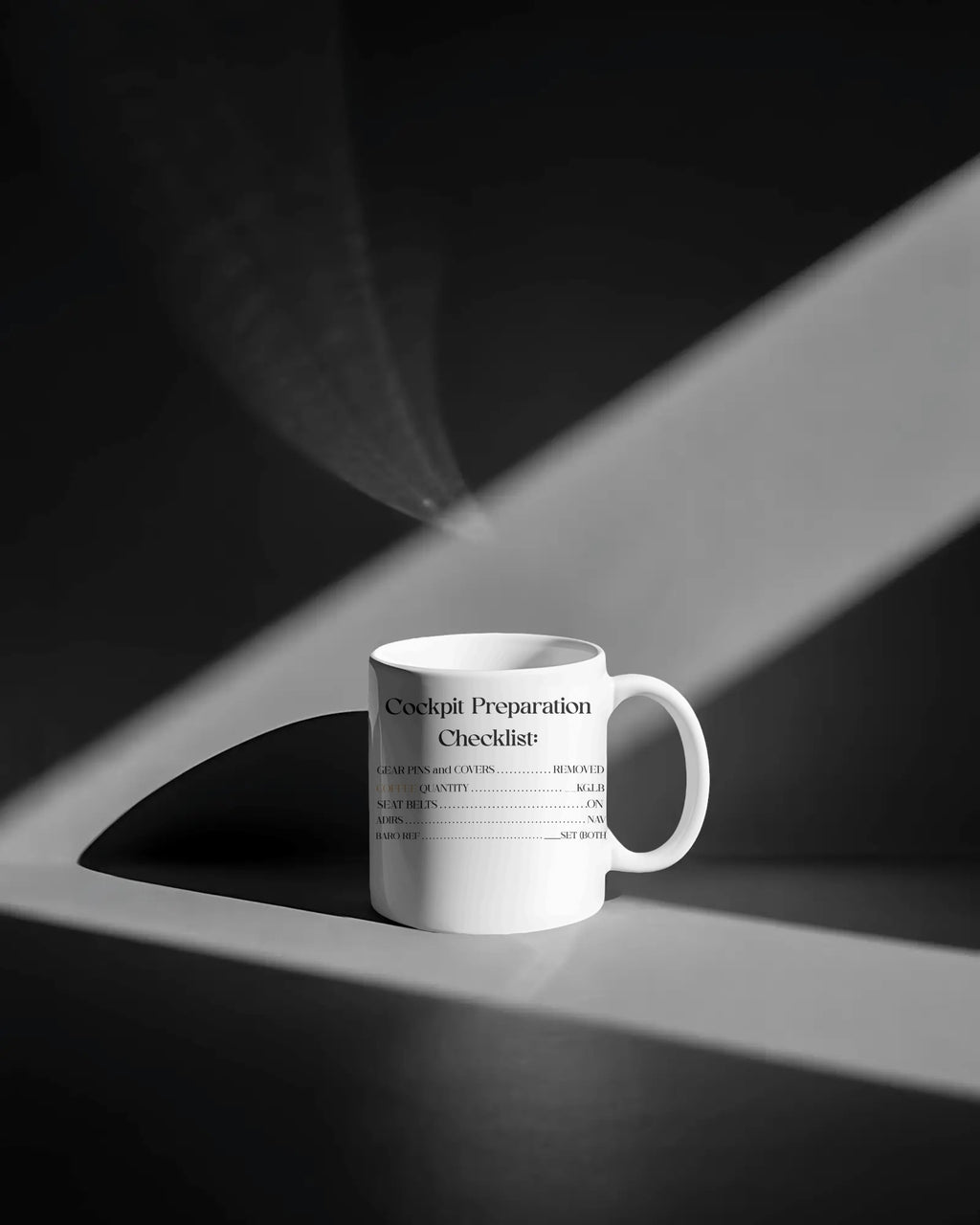 Cockpit Preparation Checklist Mug