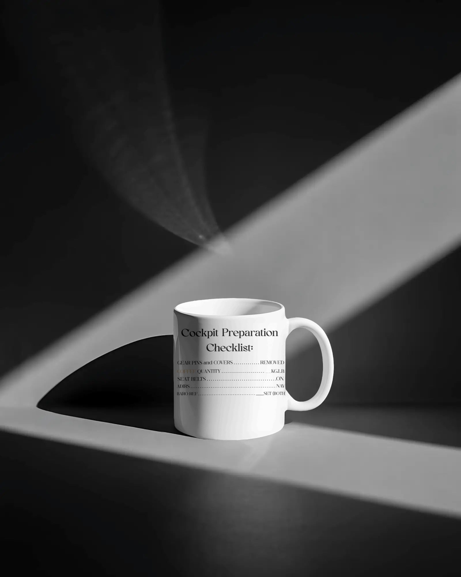 Cockpit Preparation Checklist Mug